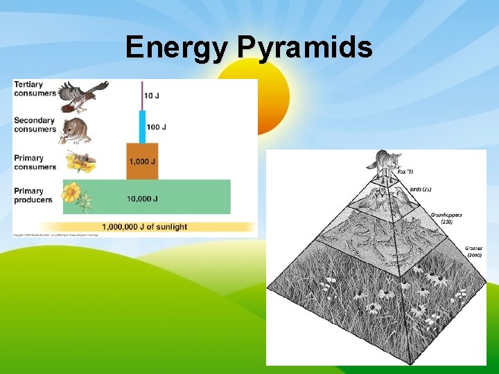 Energy Pyramids 