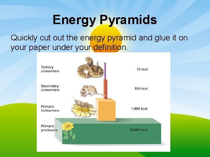 Energy Pyramids Quickly cut out the energy pyramid and glue it on your paper