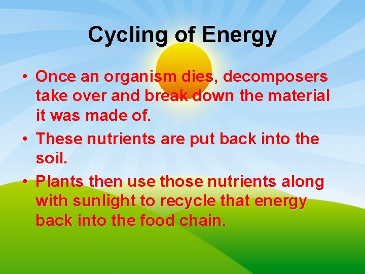 Cycling of Energy • Once an organism dies, decomposers take over and break down