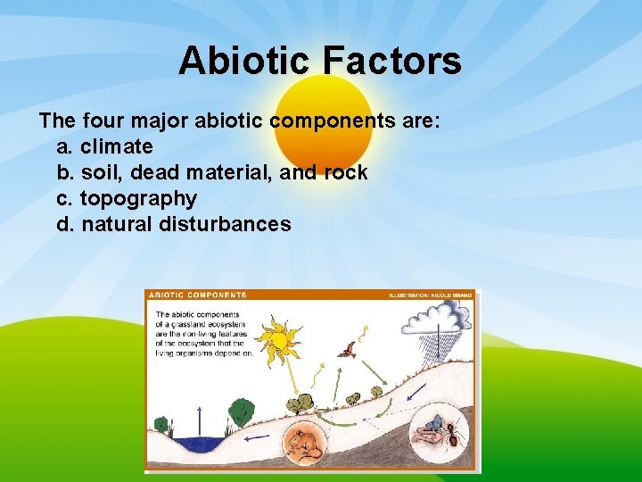 Abiotic Factors The four major abiotic components are: a. climate b. soil, dead material,