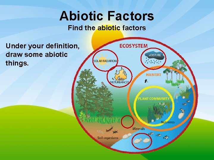 Abiotic Factors Find the abiotic factors Under your definition, draw some abiotic things. 