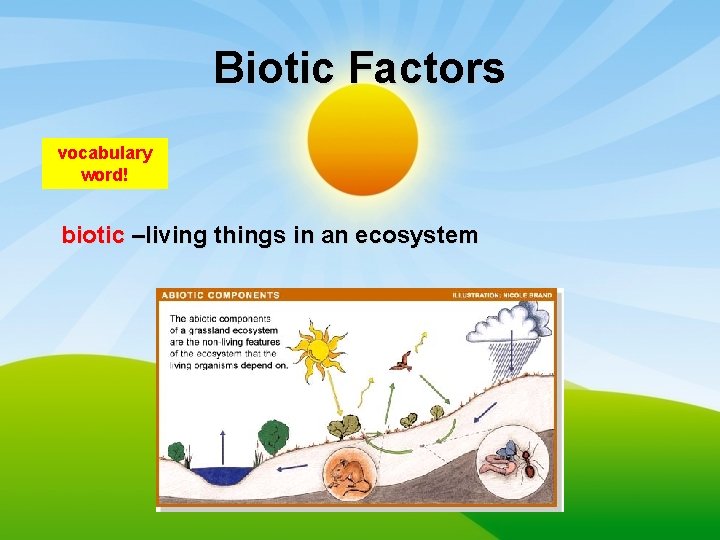 Biotic Factors vocabulary word! biotic –living things in an ecosystem 