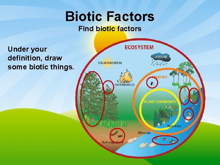 Biotic Factors Find biotic factors Under your definition, draw some biotic things. 