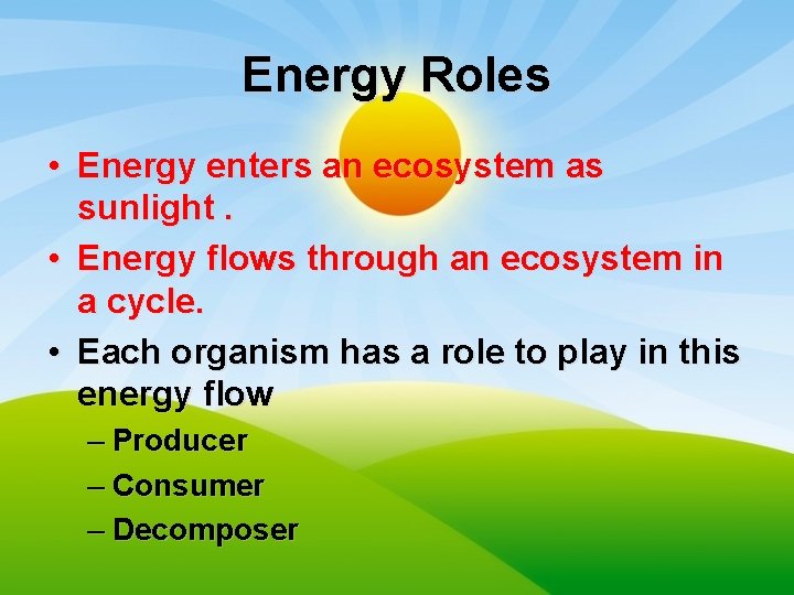 Energy Roles • Energy enters an ecosystem as sunlight. • Energy flows through an