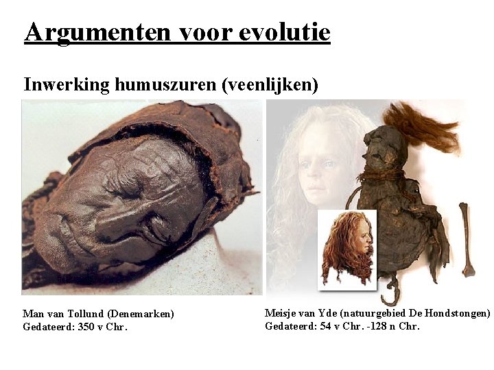 Argumenten voor evolutie Inwerking humuszuren (veenlijken) Man van Tollund (Denemarken) Gedateerd: 350 v Chr.