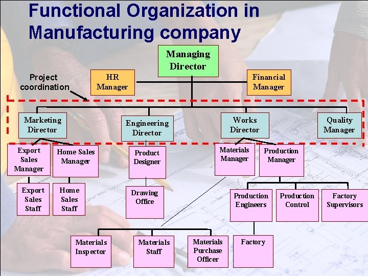 Functional Organization in Manufacturing company Managing Director HR Manager Project coordination Marketing Director Export