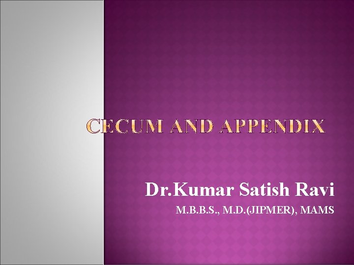 Dr. Kumar Satish Ravi M. B. B. S. , M. D. (JIPMER), MAMS 