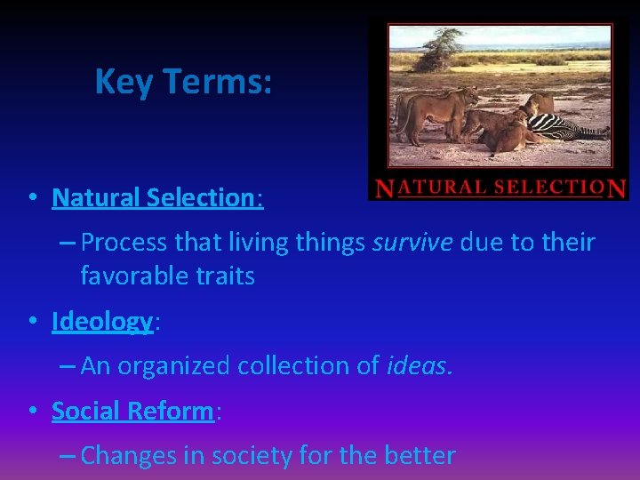 Key Terms: • Natural Selection: – Process that living things survive due to their