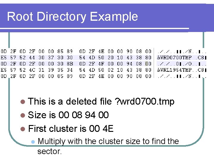 Root Directory Example l This is a deleted file ? wrd 0700. tmp l