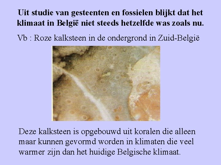 Uit studie van gesteenten en fossielen blijkt dat het klimaat in België niet steeds