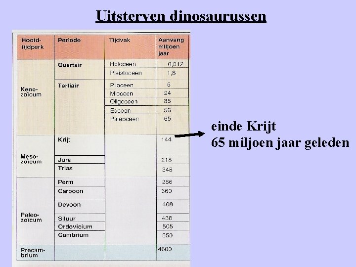 Uitsterven dinosaurussen einde Krijt 65 miljoen jaar geleden 