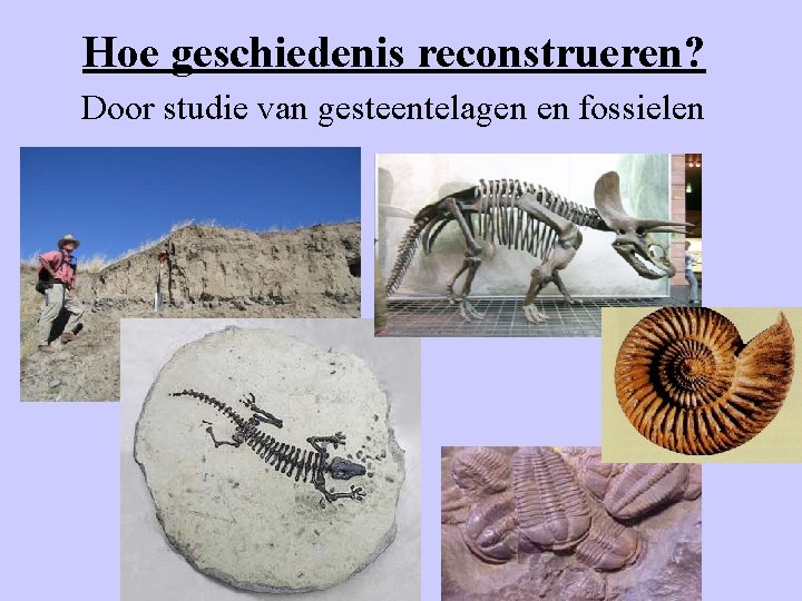 Hoe geschiedenis reconstrueren? Door studie van gesteentelagen en fossielen 