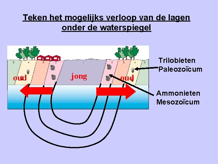 Teken het mogelijks verloop van de lagen onder de waterspiegel oud jong oud Trilobieten