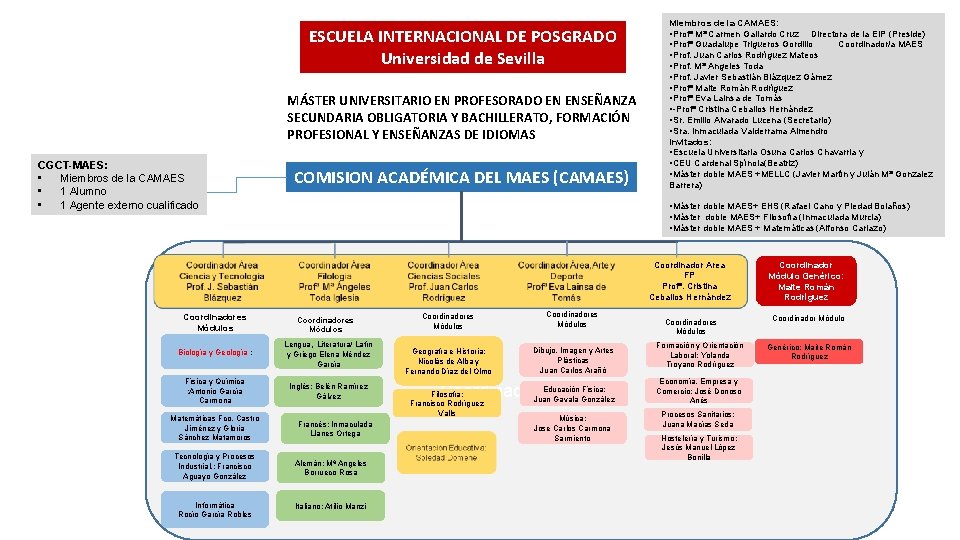 ESCUELA INTERNACIONAL DE POSGRADO Universidad de Sevilla MÁSTER UNIVERSITARIO EN PROFESORADO EN ENSEÑANZA SECUNDARIA