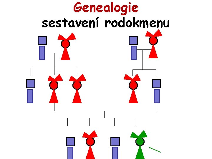 Genealogie sestavení rodokmenu 