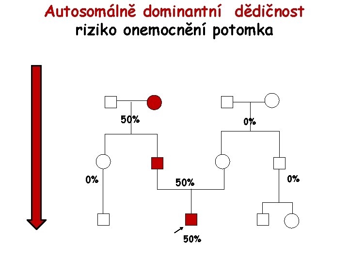 Autosomálně dominantní dědičnost riziko onemocnění potomka 50% 0% 50% 