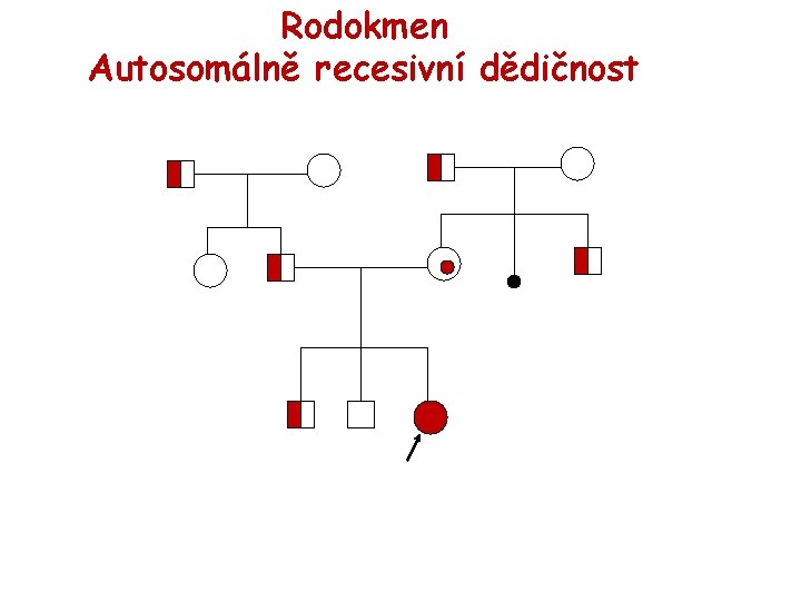 Rodokmen Autosomálně recesivní dědičnost 