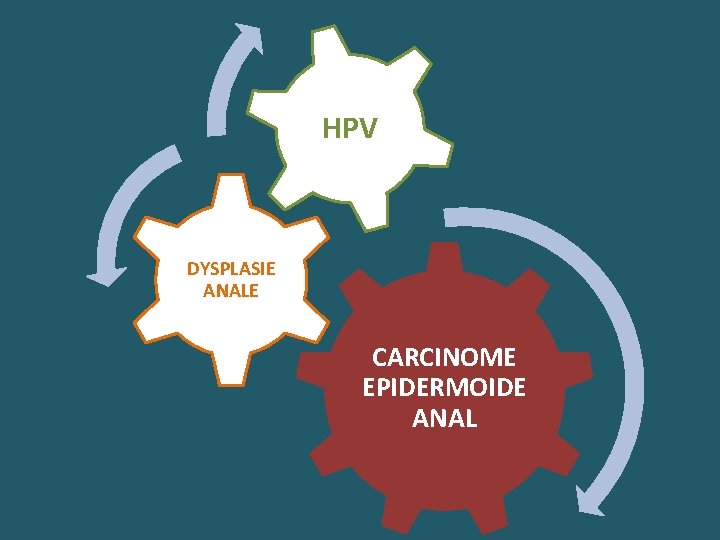 HPV DYSPLASIE ANALE CARCINOME EPIDERMOIDE ANAL 