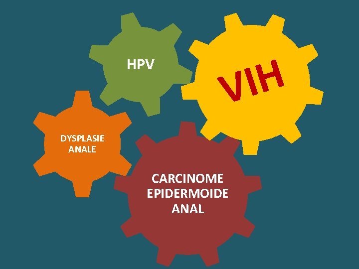 HPV H I V DYSPLASIE ANALE CARCINOME EPIDERMOIDE ANAL 