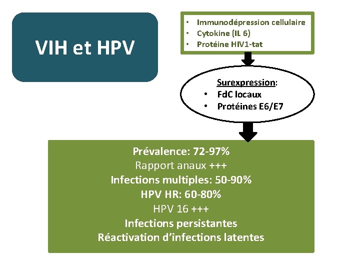 VIH et HPV • Immunodépression cellulaire • Cytokine (IL 6) • Protéine HIV 1