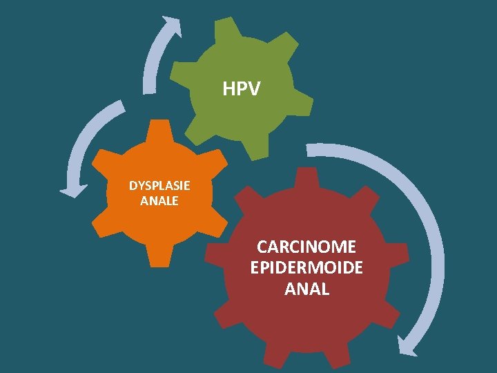 HPV DYSPLASIE ANALE CARCINOME EPIDERMOIDE ANAL 