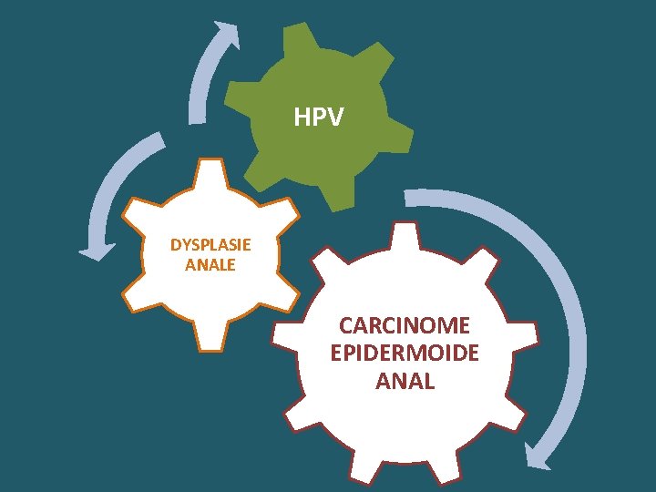 HPV DYSPLASIE ANALE CARCINOME EPIDERMOIDE ANAL 