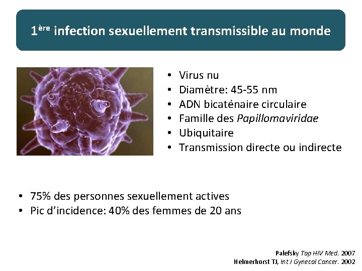 1ère infection sexuellement transmissible au monde • • • Virus nu Diamètre: 45 -55