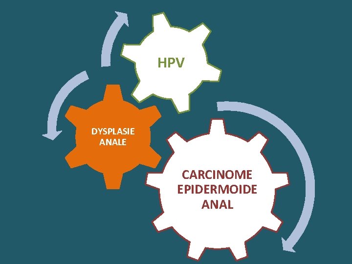HPV DYSPLASIE ANALE CARCINOME EPIDERMOIDE ANAL 