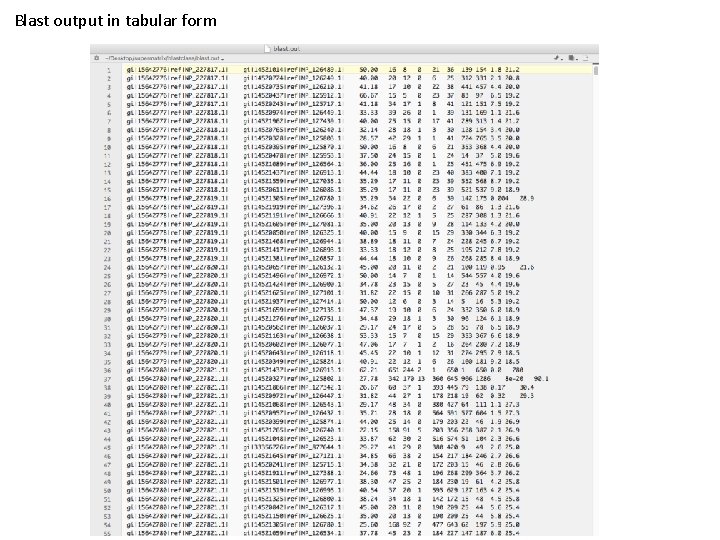 Blast output in tabular form 