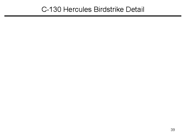 C-130 Hercules Birdstrike Detail 39 