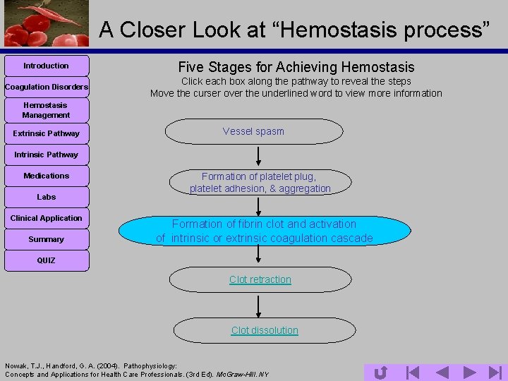 A Closer Look at “Hemostasis process” Introduction Five Stages for Achieving Hemostasis Coagulation Disorders
