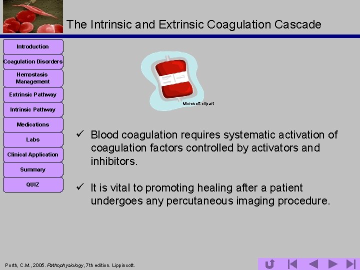 The Intrinsic and Extrinsic Coagulation Cascade Introduction Coagulation Disorders Hemostasis Management Extrinsic Pathway Microsoft