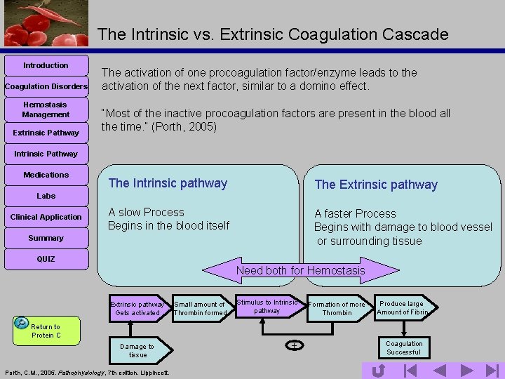 The Intrinsic vs. Extrinsic Coagulation Cascade Introduction Coagulation Disorders Hemostasis Management Extrinsic Pathway The