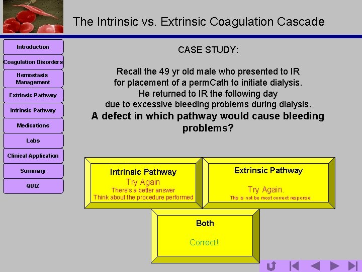 The Intrinsic vs. Extrinsic Coagulation Cascade Introduction CASE STUDY: Coagulation Disorders Hemostasis Management Extrinsic