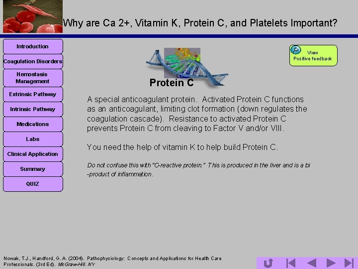 Why are Ca 2+, Vitamin K, Protein C, and Platelets Important? Introduction View Positive
