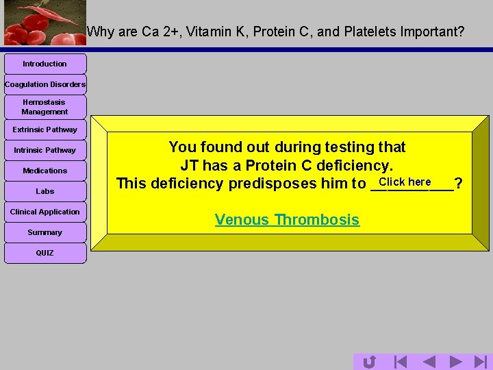 Why are Ca 2+, Vitamin K, Protein C, and Platelets Important? Introduction Coagulation Disorders
