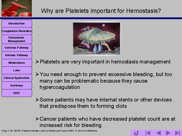 Why are Platelets important for Hemostasis? Introduction Coagulation Disorders Hemostasis Management Extrinsic Pathway Wellcome