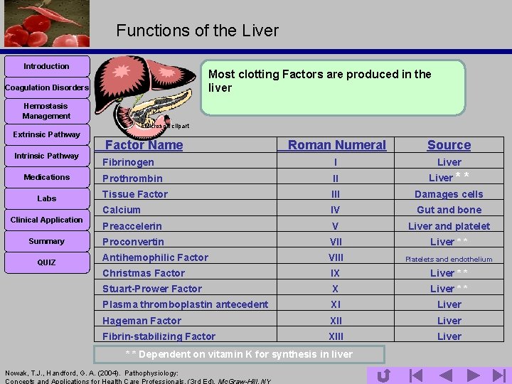Functions of the Liver Introduction Most clotting Factors are produced in the liver Coagulation