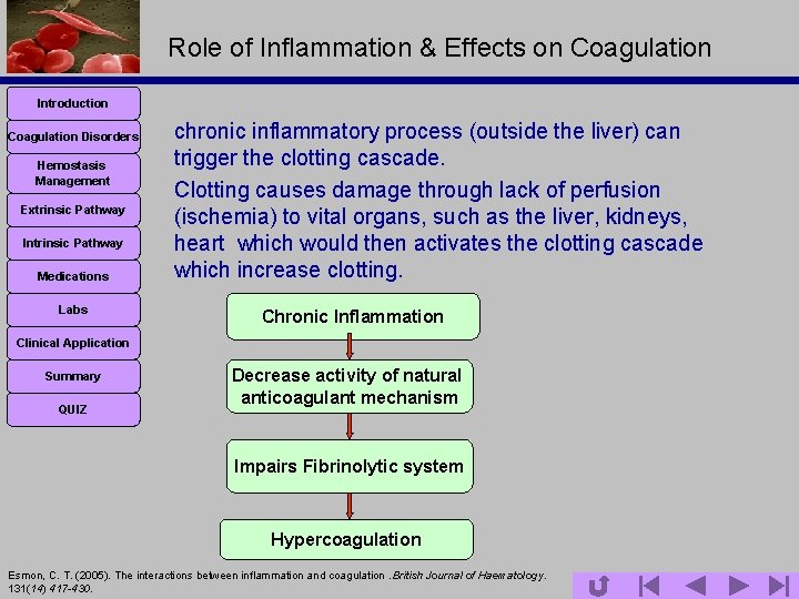 Role of Inflammation & Effects on Coagulation Introduction Coagulation Disorders Hemostasis Management Extrinsic Pathway