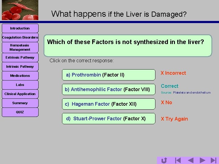 What happens if the Liver is Damaged? Introduction Coagulation Disorders Hemostasis Management Extrinsic Pathway