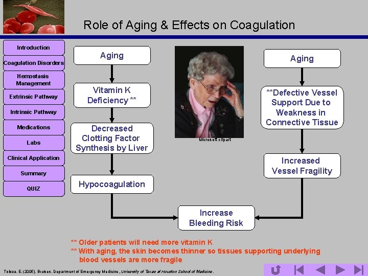 Role of Aging & Effects on Coagulation Introduction Coagulation Disorders Hemostasis Management Extrinsic Pathway