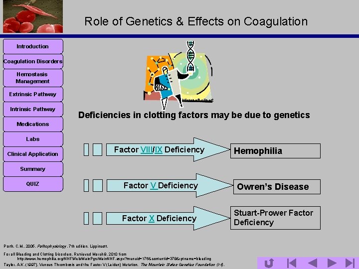 Role of Genetics & Effects on Coagulation Introduction Coagulation Disorders Hemostasis Management Extrinsic Pathway
