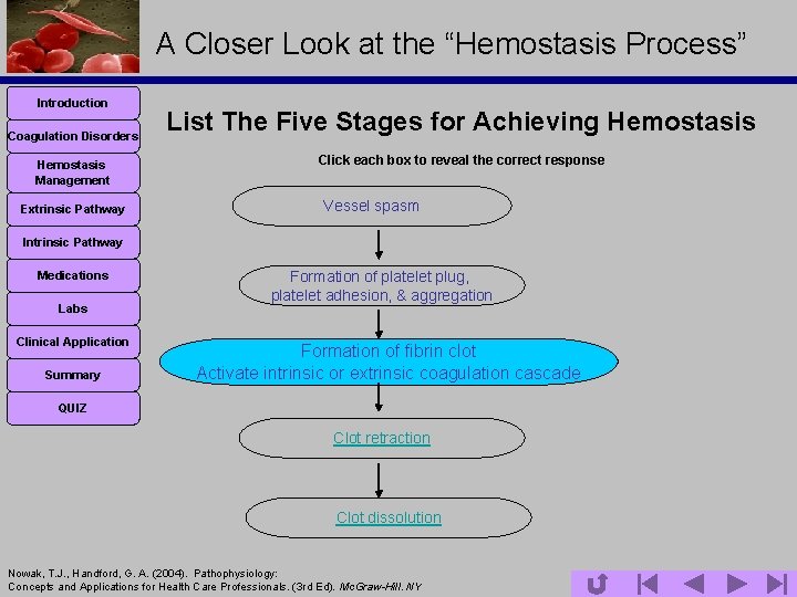 A Closer Look at the “Hemostasis Process” Introduction Coagulation Disorders Hemostasis Management Extrinsic Pathway