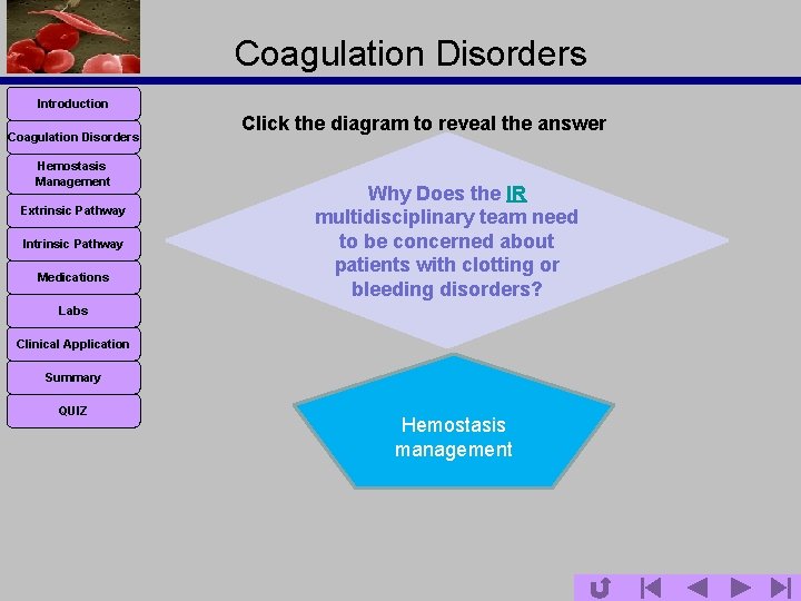 Coagulation Disorders Introduction Coagulation Disorders Hemostasis Management Extrinsic Pathway Intrinsic Pathway Medications Click the