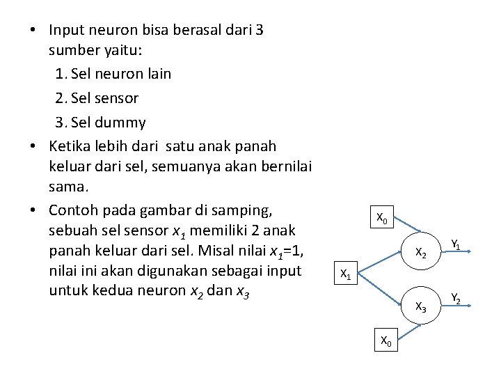  • Input neuron bisa berasal dari 3 sumber yaitu: 1. Sel neuron lain