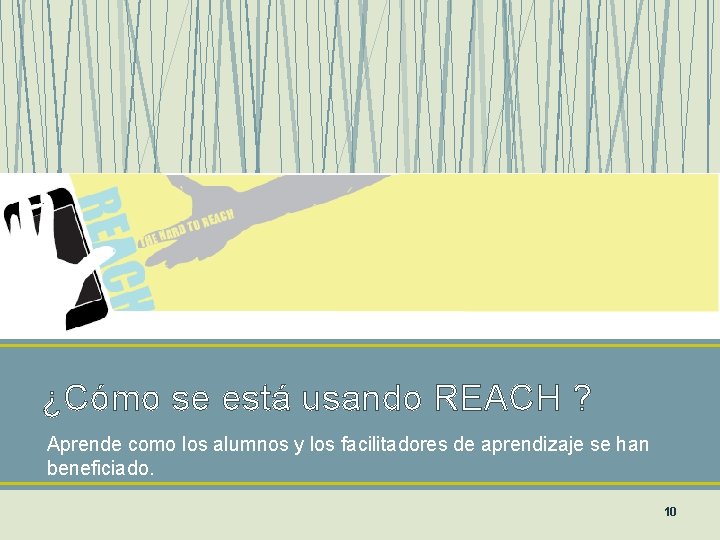 ¿Cómo se está usando REACH ? Aprende como los alumnos y los facilitadores de