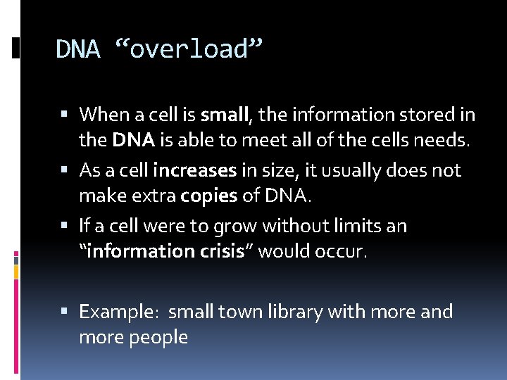 DNA “overload” When a cell is small, the information stored in the DNA is