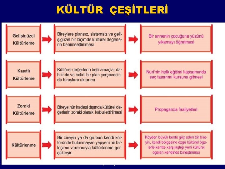 KÜLTÜR ÇEŞİTLERİ albayrakegitim. com 31 