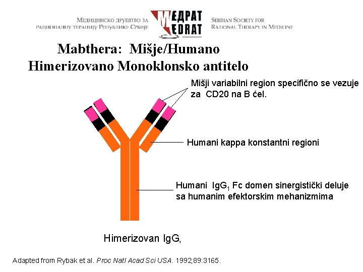 Mabthera: Mišje/Humano Himerizovano Monoklonsko antitelo Mišji variabilni region specifično se vezuje za CD 20