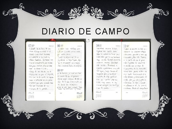 DIARIO DE CAMPO DIARIO DE CAMPO